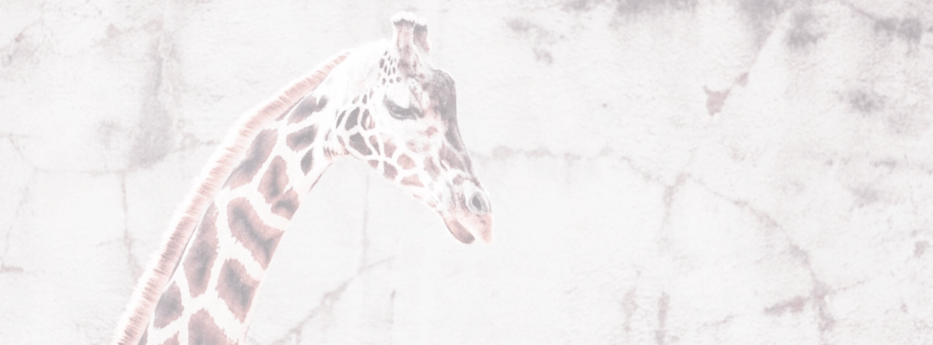 Time for Empathy Giraffe Empathic Way Europe